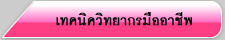 เทคนิควิทยากรมืออาชีพ